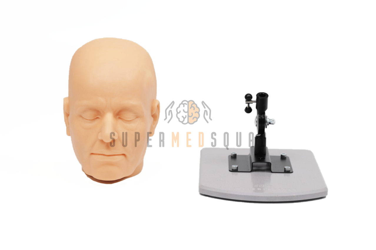 model'-licevoj-chasti-cherepa-s-imitaciej-kozhi-dlya-in"ekcij-i-vvedeniya-fillera-v-nosogubnye-skladki Модель лицевой части черепа с имитацией кожи для инъекций и введения филлера в носогубные складки
