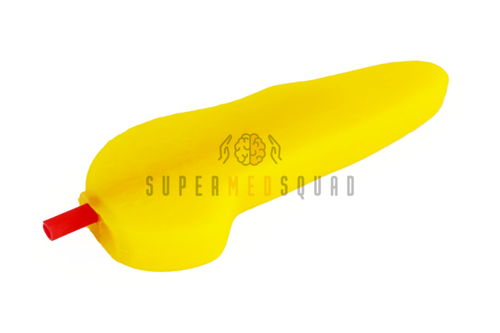 model'-podzheludochnoj-zhelezy Модель поджелудочной железы SuperMedSquad